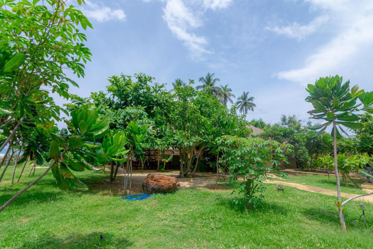 Hotel Blue Waters Arugam Bay Esterno foto